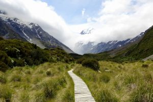 Wooden footpath in wilderness