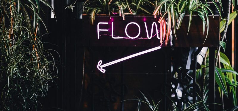 Pink neon light spelling flow with various plants